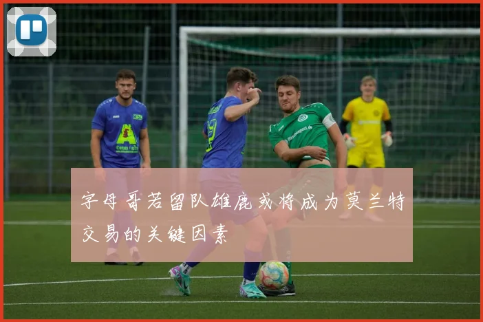 字母哥若留队雄鹿或将成为莫兰特交易的关键因素